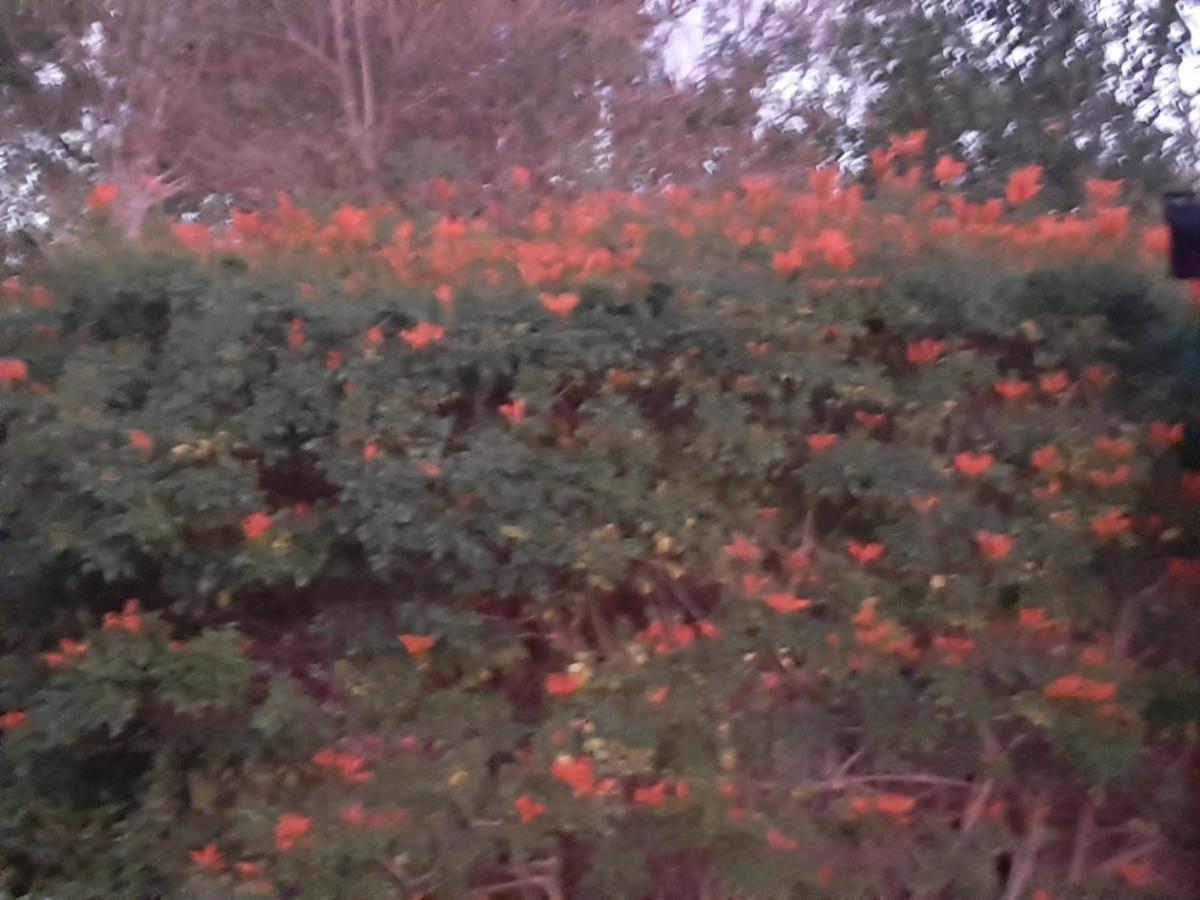 Mountain View Swellendam Διαμέρισμα Εξωτερικό φωτογραφία